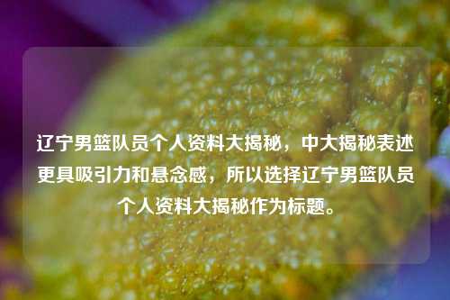 辽宁男篮队员个人资料大揭秘，中大揭秘表述更具吸引力和悬念感，所以选择辽宁男篮队员个人资料大揭秘作为标题。
