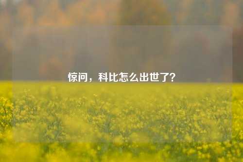 惊问,科比怎么出世了?