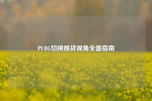 PUBG切换观战视角全面指南