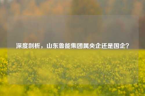 深度剖析,山东鲁能集团属央企还是国企?