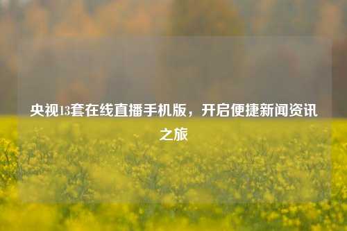 央视13套在线直播手机版，开启便捷新闻资讯之旅