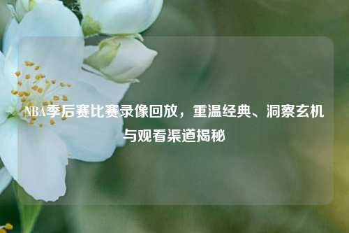 NBA季后赛比赛录像回放，重温经典、洞察玄机与观看渠道揭秘