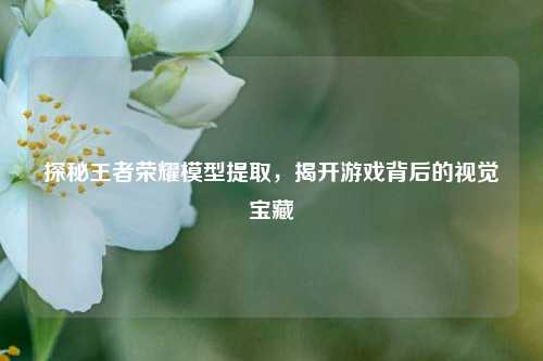 探秘王者荣耀模型提取,揭开游戏背后的视觉宝藏