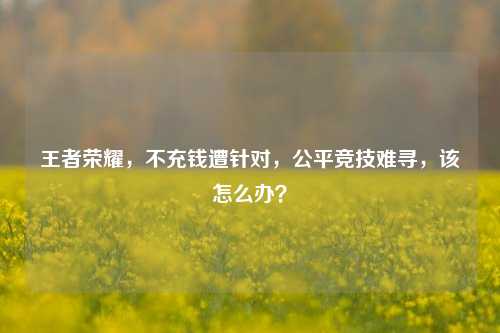 王者荣耀,不充钱遭针对,公平竞技难寻,该怎么办?