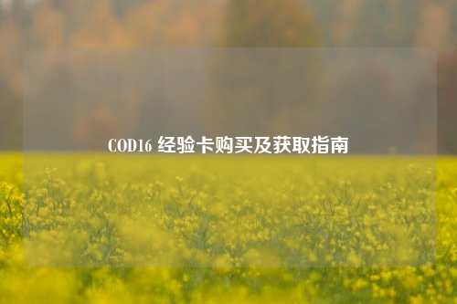COD16 经验卡购买及获取指南