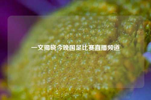 一文揭晓今晚国足比赛直播频道