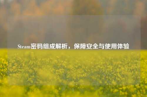 Steam密码组成解析,保障安全与使用体验
