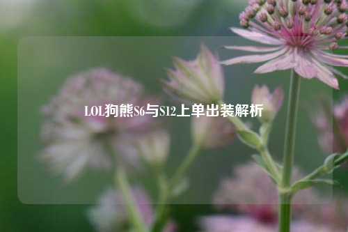 LOL狗熊S6与S12上单出装解析