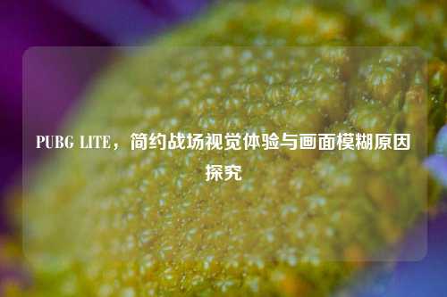 PUBG LITE,简约战场视觉体验与画面模糊原因探究