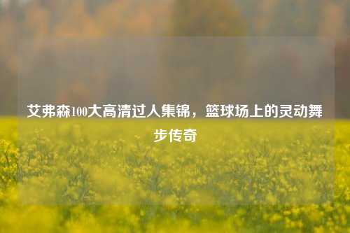 艾弗森100大高清过人集锦,篮球场上的灵动舞步传奇