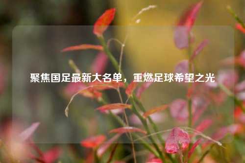 聚焦国足最新大名单,重燃足球希望之光