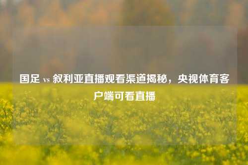 国足 vs 叙利亚直播观看渠道揭秘，央视体育客户端可看直播