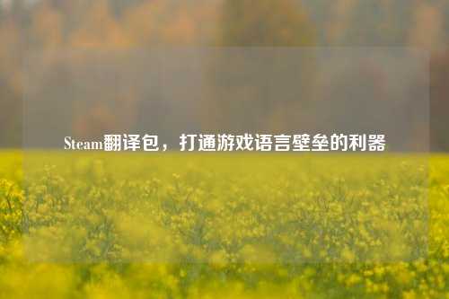 Steam翻译包,打通游戏语言壁垒的利器