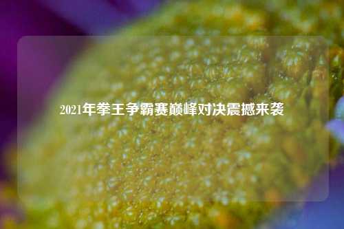 2021年拳王争霸赛巅峰对决震撼来袭