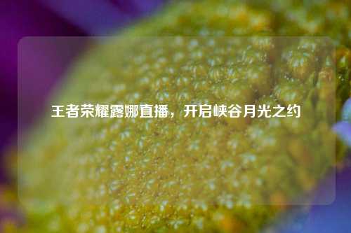 王者荣耀露娜直播，开启峡谷月光之约