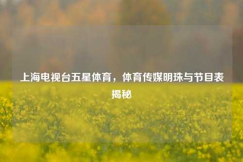 上海电视台五星体育，体育传媒明珠与节目表揭秘
