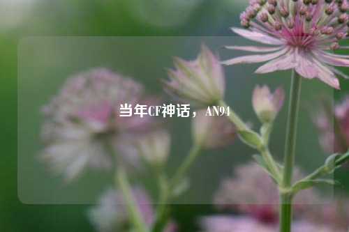 当年CF神话,AN94