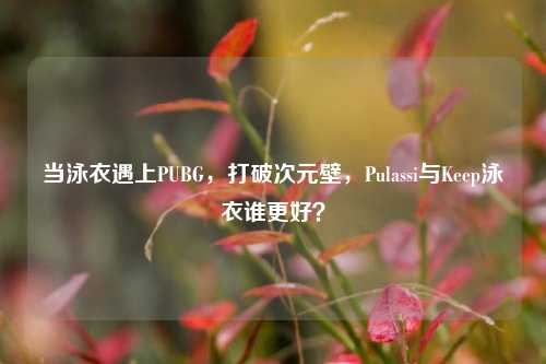 当泳衣遇上PUBG，打破次元壁，Pulassi与Keep泳衣谁更好？