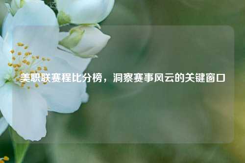 美职联赛程比分榜,洞察赛事风云的关键窗口