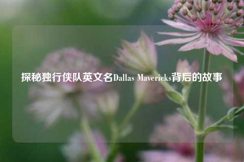 探秘独行侠队英文名Dallas Mavericks背后的故事