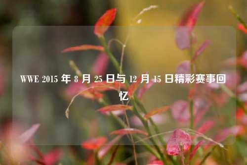 WWE 2015 年 8 月 25 日与 12 月 15 日精彩赛事回忆