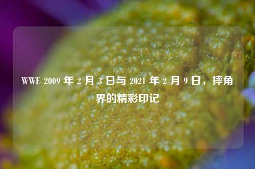 WWE 2009 年 2 月 3 日与 2021 年 2 月 9 日,摔角界的精彩印记