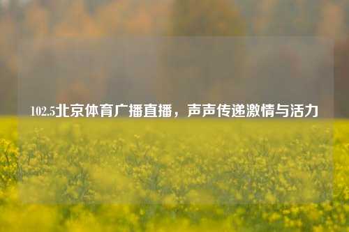 102.5北京体育广播直播，声声传递激情与活力