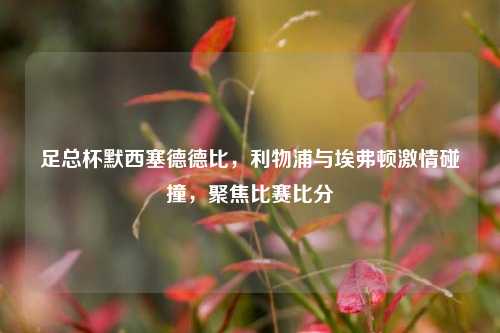 足总杯默西塞德德比，利物浦与埃弗顿激情碰撞，聚焦比赛比分