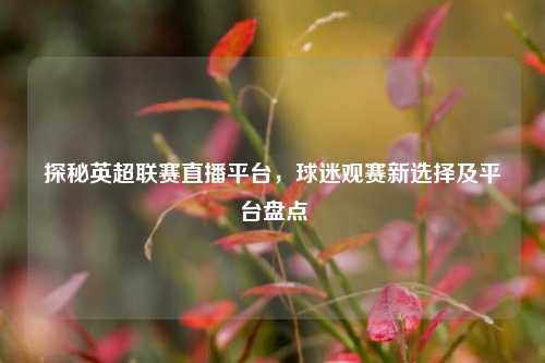 探秘英超联赛直播平台，球迷观赛新选择及平台盘点