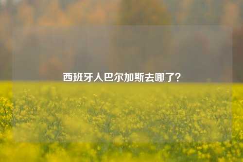 西班牙人巴尔加斯去哪了？