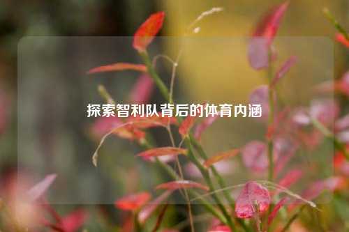 探索智利队背后的体育内涵