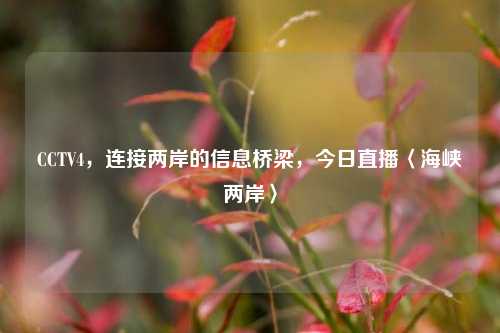 CCTV4,连接两岸的信息桥梁,今日直播〈海峡两岸〉