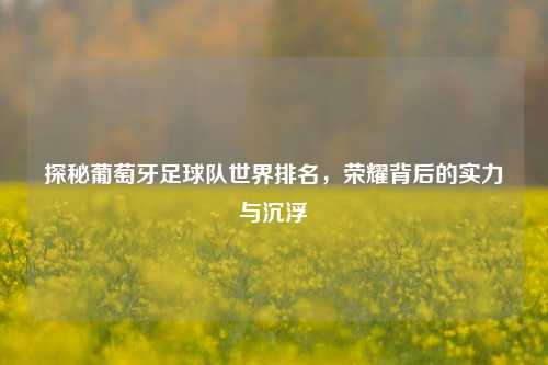 探秘葡萄牙足球队世界排名,荣耀背后的实力与沉浮
