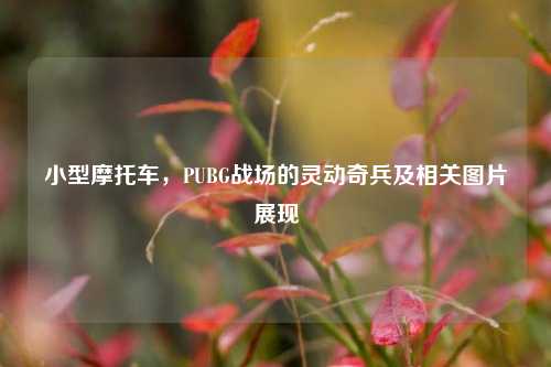 小型摩托车，PUBG战场的灵动奇兵及相关图片展现