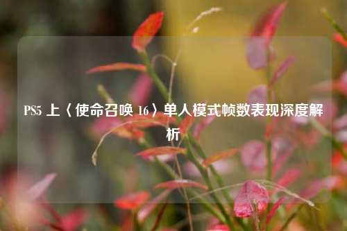 PS5 上〈使命召唤 16〉单人模式帧数表现深度解析