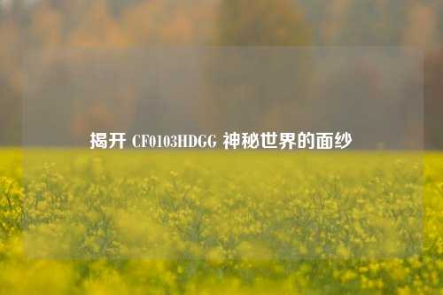 揭开 CF0103HDGG 神秘世界的面纱