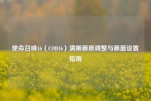 使命召唤16(COD16)清晰画质调整与画面设置指南