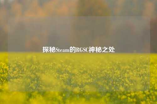 探秘Steam的RGSC神秘之处