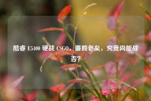 酷睿 E5400 硬战 CSGO，廉颇老矣，究竟尚能战否？