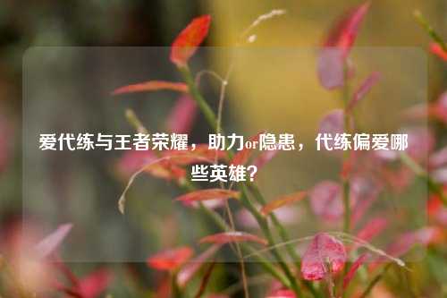 爱代练与王者荣耀，助力or隐患，代练偏爱哪些英雄？