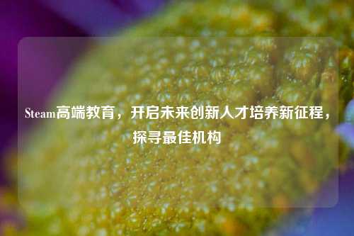 Steam高端教育,开启未来创新人才培养新征程,探寻最佳机构