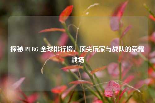 探秘 PUBG 全球排行榜,顶尖玩家与战队的荣耀战场