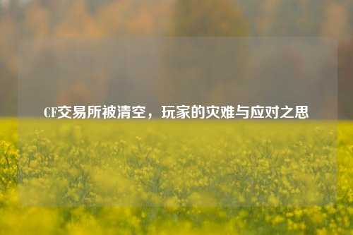 CF交易所被清空，玩家的灾难与应对之思