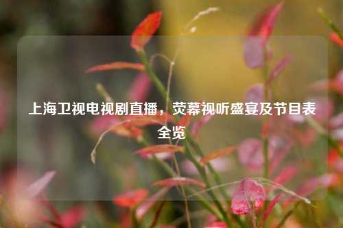 上海卫视电视剧直播,荧幕视听盛宴及节目表全览