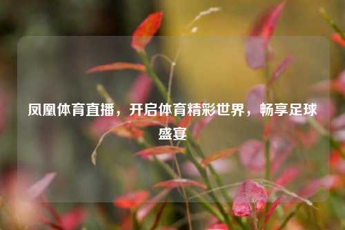 凤凰体育直播，开启体育精彩世界，畅享足球盛宴