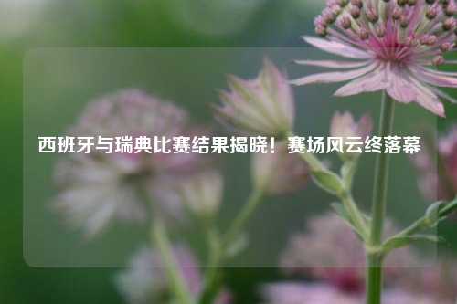 西班牙与瑞典比赛结果揭晓！赛场风云终落幕