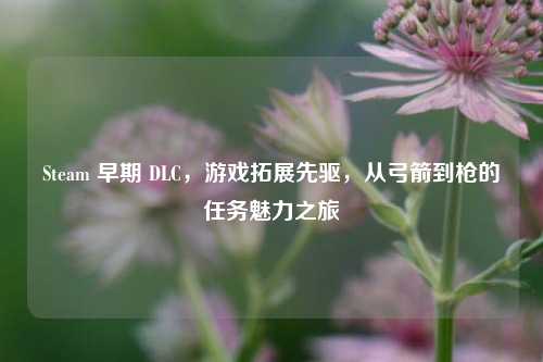 Steam 早期 DLC,游戏拓展先驱,从弓箭到枪的任务魅力之旅