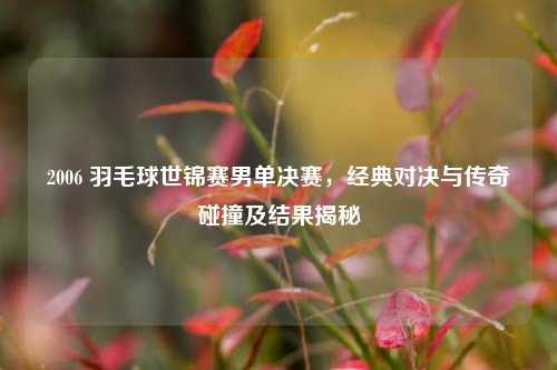 2006 羽毛球世锦赛男单决赛,经典对决与传奇碰撞及结果揭秘