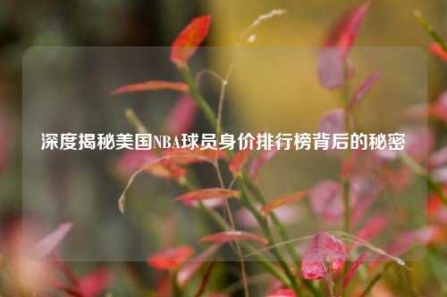 深度揭秘美国NBA球员身价排行榜背后的秘密