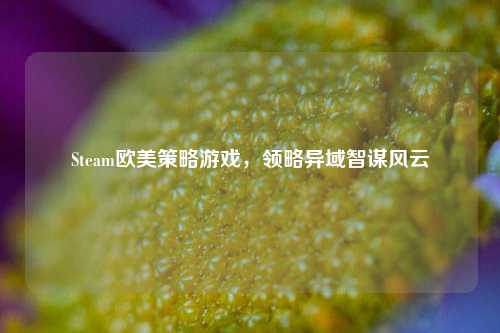 Steam欧美策略游戏,领略异域智谋风云